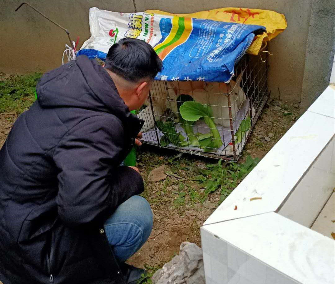 微信图片_20200227160355.jpg